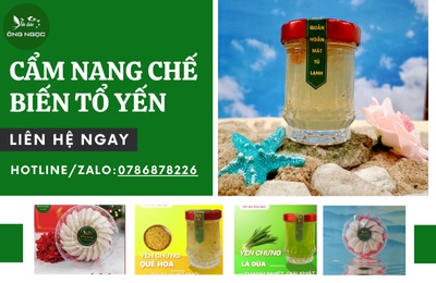 CẨM NANG CHẾ BIẾN TỔ YẾN